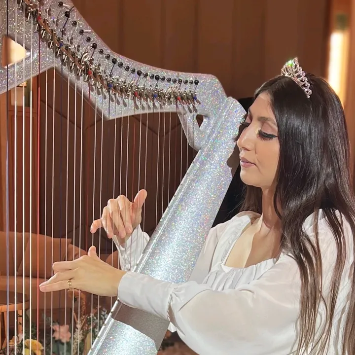 harp.ae