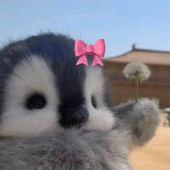 @skz2026rls