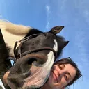 @maverickhorserescueorg