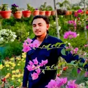 @js.joy.king