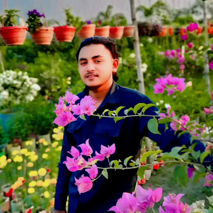 @js.joy.king