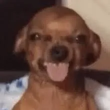 doughnbil