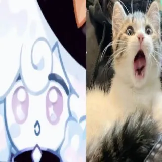 @st4rrystims