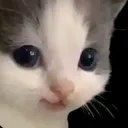 @dreammotel18