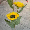 @mamamiaoohhlala