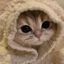 @chai_aur_cinema