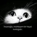 @gece_siyahinci
