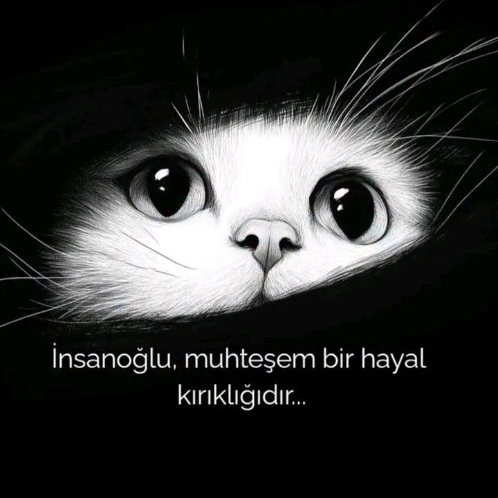 @gece_siyahinci