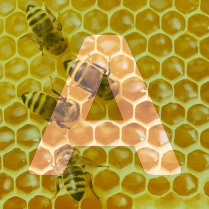 @the2bee2buzz