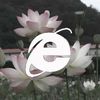 evasexessence