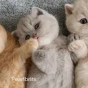 @_ulowws