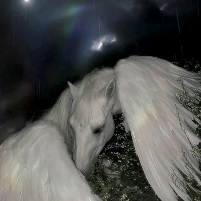 iblackhorse