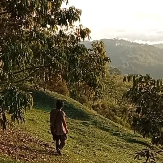 adydurianfarm
