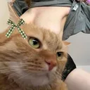 @kitti.t3n