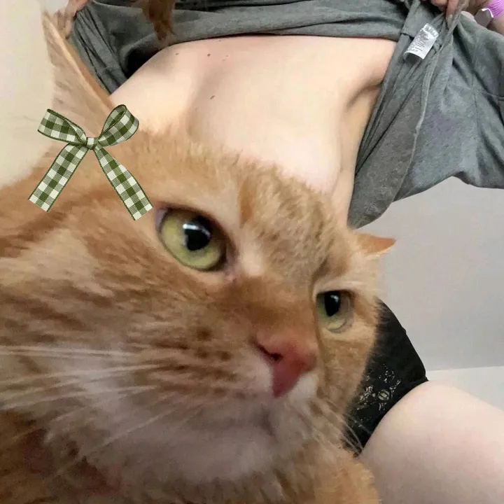 @kitti.t3n