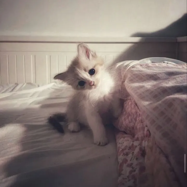 sswwaaaaaag