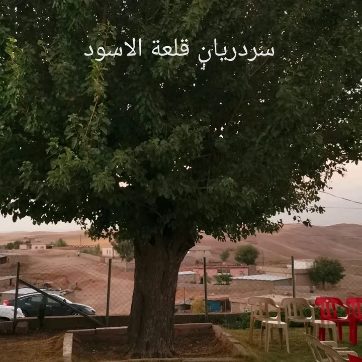 @al_raqeeb.alsourchi