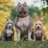 ragnar_oficiall