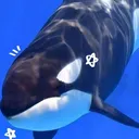 @strabberry__jelly1