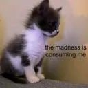 @shampeinproblems