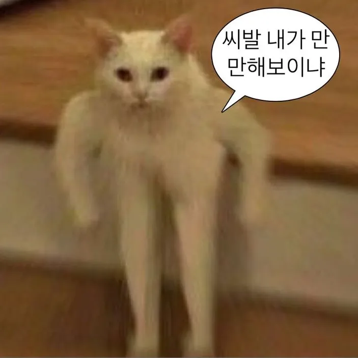 @jeonanyeon_nsrf