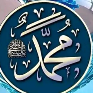 @shaukathussain781