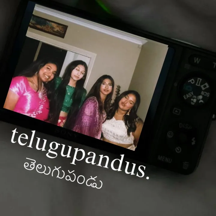 telugupandus