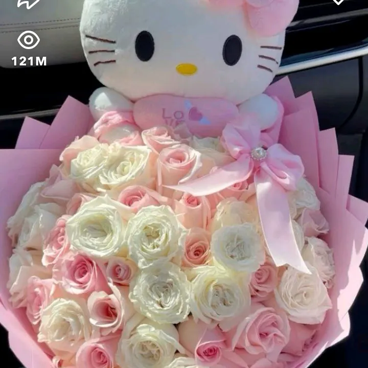 @official_sania.no1