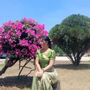 @myint.moe9520