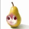 hcsuito