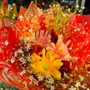@sanjit_05off