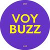 voybuzz