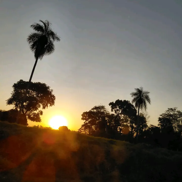 @osvaldogabr_1