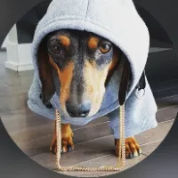 ardennotthejeweller