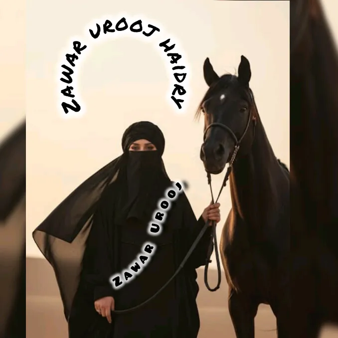 zawaruroojhaidery482