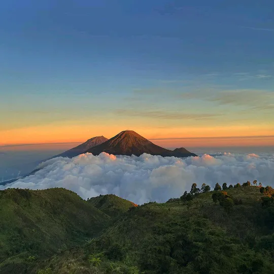 nasepmumardani_91