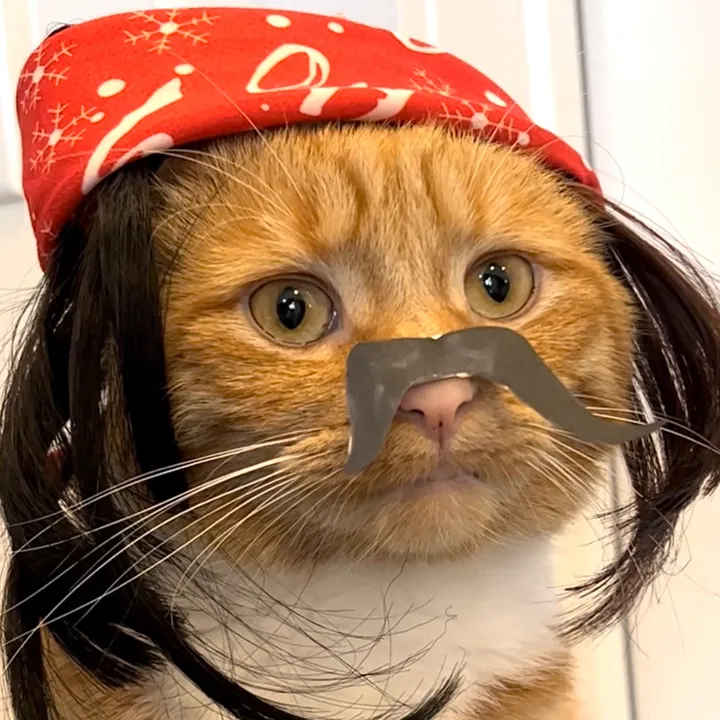 heyitsgingerandpepper