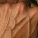 @pradipyadav095