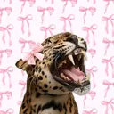 @xxlupexx8