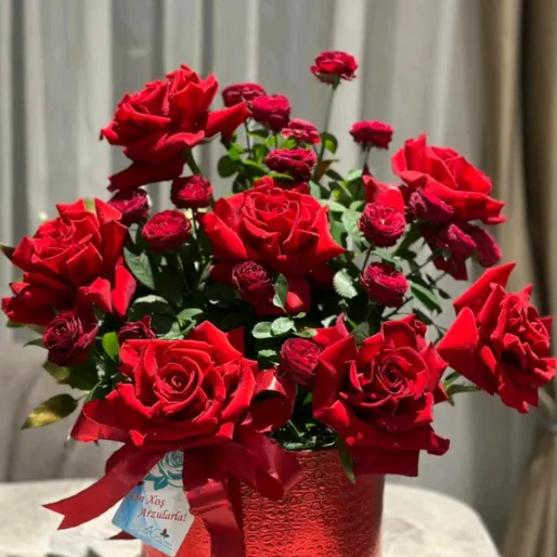 @inci__siz