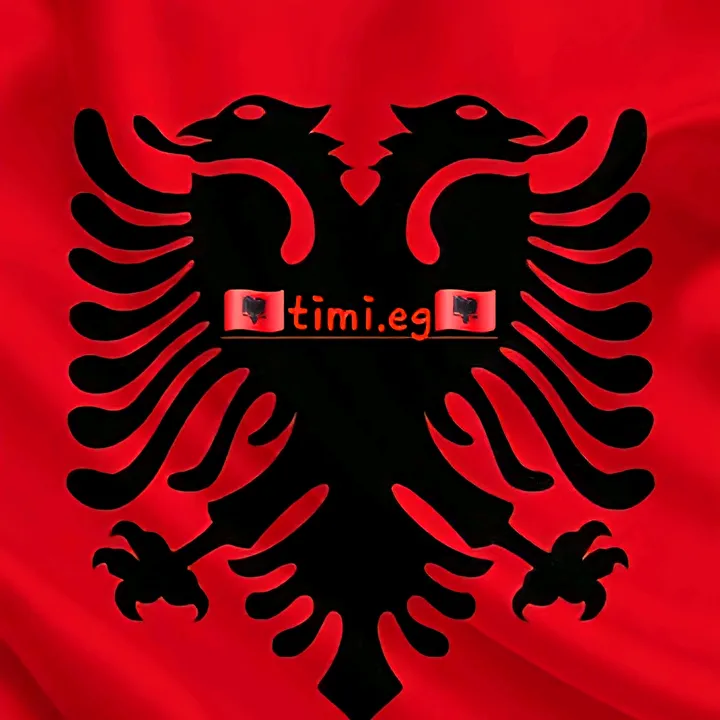 timi.eg