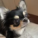 @2much4fun