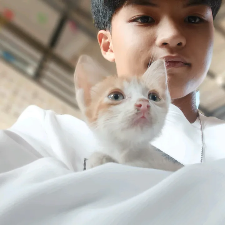 @cly.dieeeee