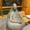 pigfade