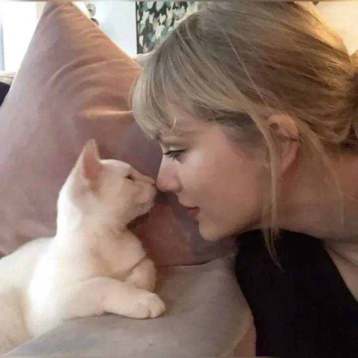 @cowboylikemeows