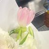 jade_sthefany
