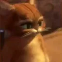 @r4slimy