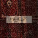 @all.qamarr