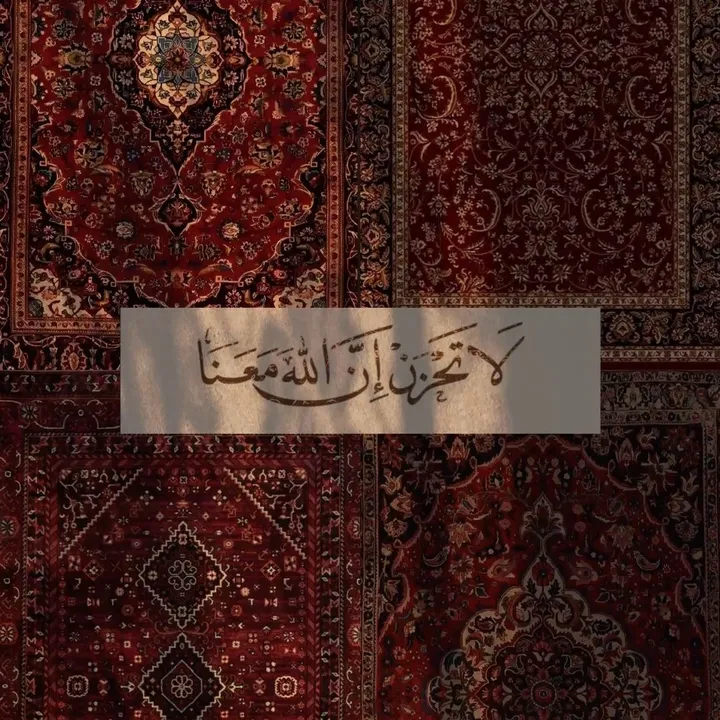 @all.qamarr
