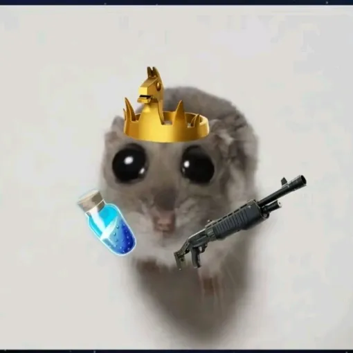 @clashyunpoquitodefornite